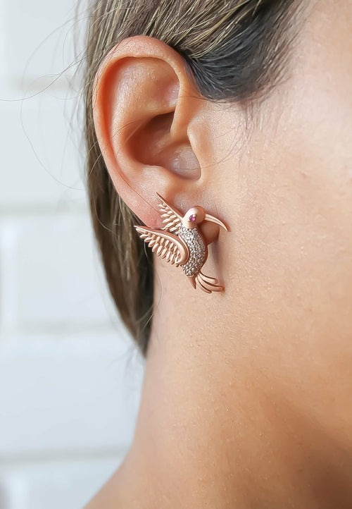 Amazonian Hummingbird Stud Earrings